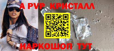 шишки Славгород