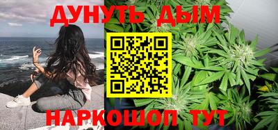 шишки Славгород