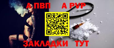 шишки Славгород