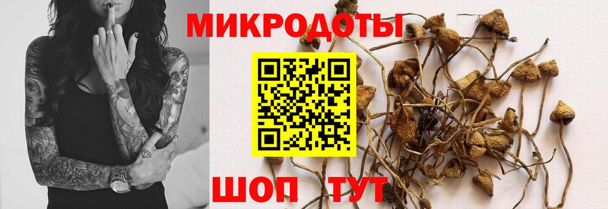 Галлюциногенные грибы Cubensis Волгодонск
